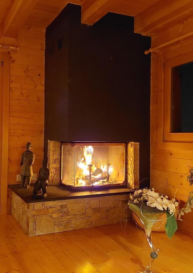 Chambre D'Hotes L'Ours Bleu 莱迪亚布勒雷 外观 照片