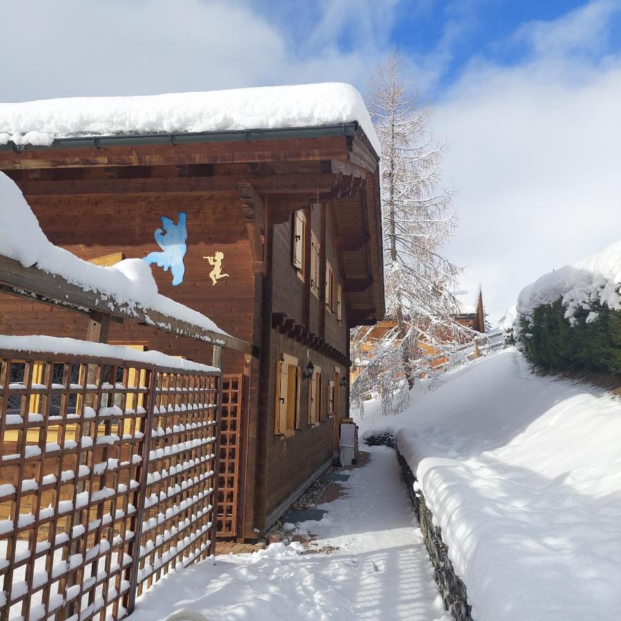 Chambre D'Hotes L'Ours Bleu 莱迪亚布勒雷 外观 照片